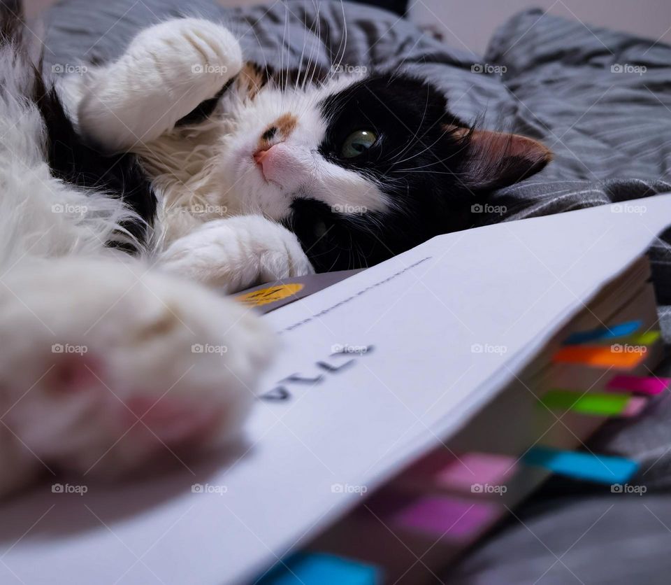 This book was amazing