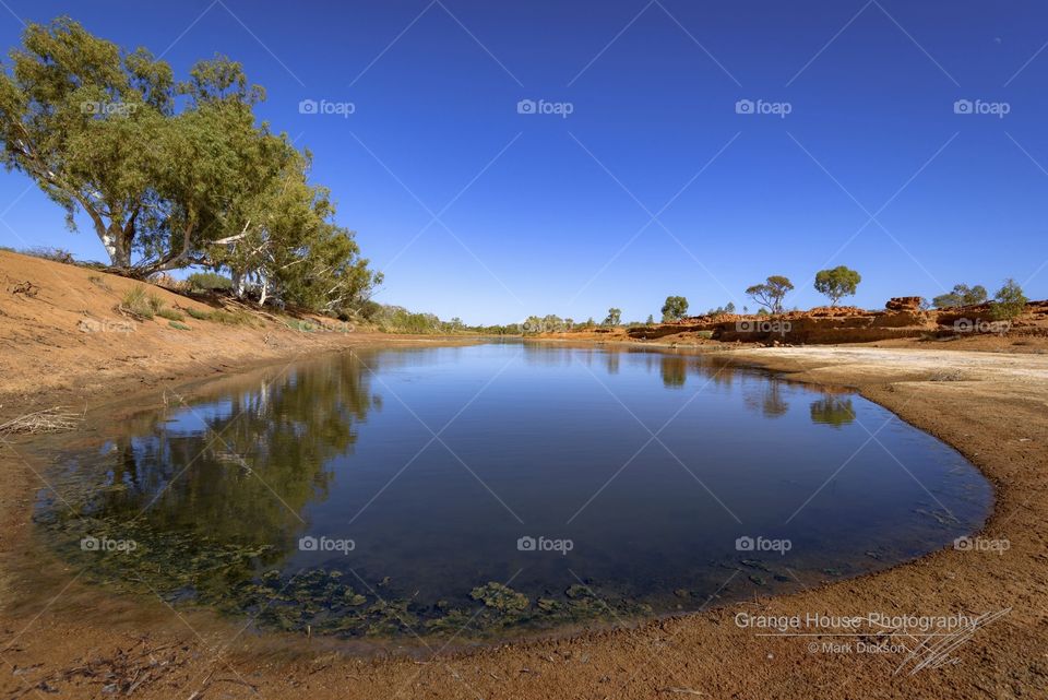 Water, Landscape, Lake, River, Tree