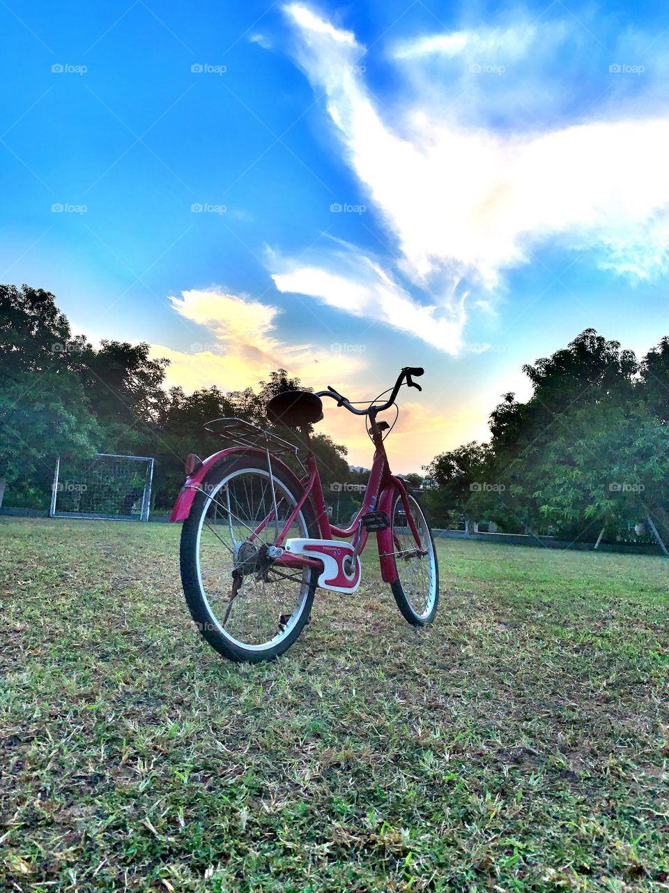 Bicycle sunset 