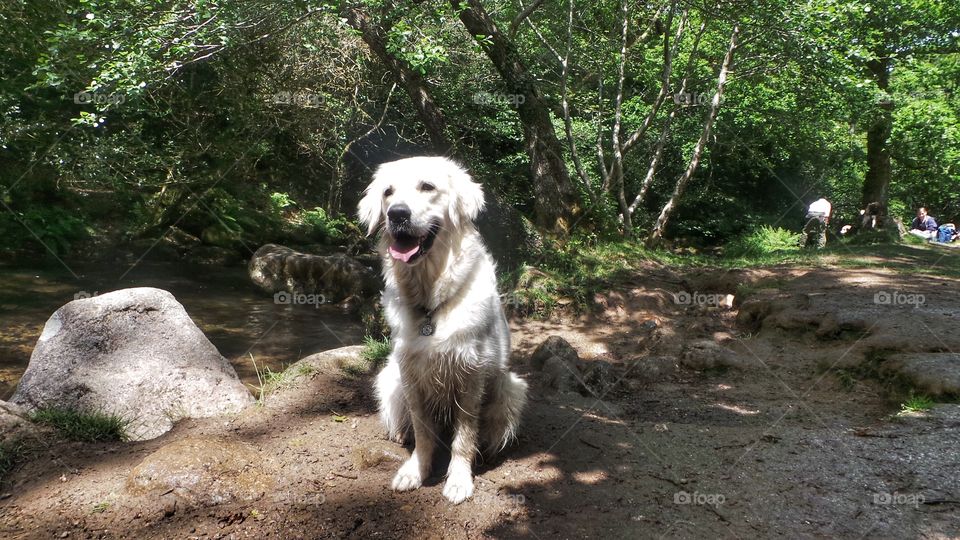 Happy Zoe . Zoe posing in the park 