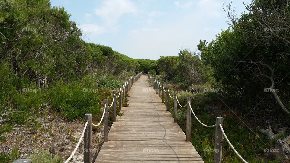 Wood Road, Beach, Zambujeira do Mar, Portugal