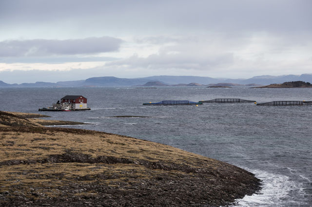 Fish Farming