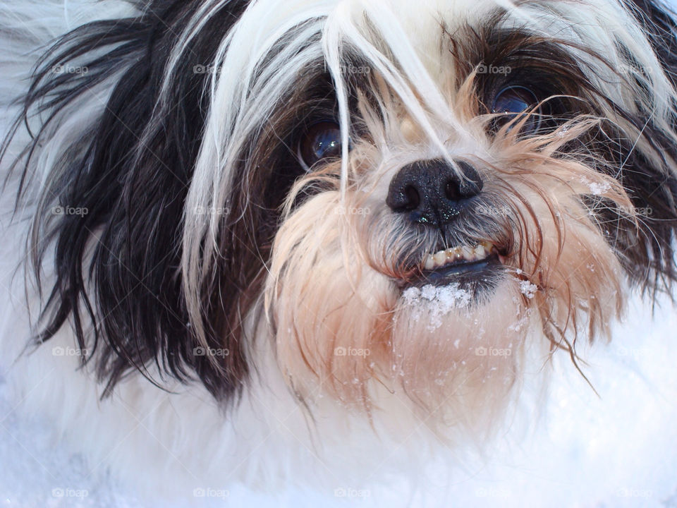 snow winter white black by somebeach