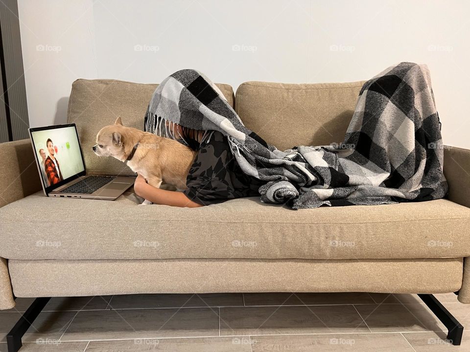 Cutest guys, boy and his dog look at laptop, cozy vibe. Good evening together 