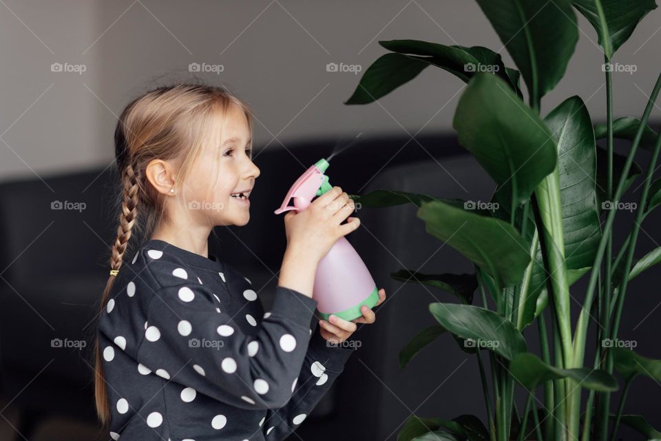 Little girl spraying potted plant at home 