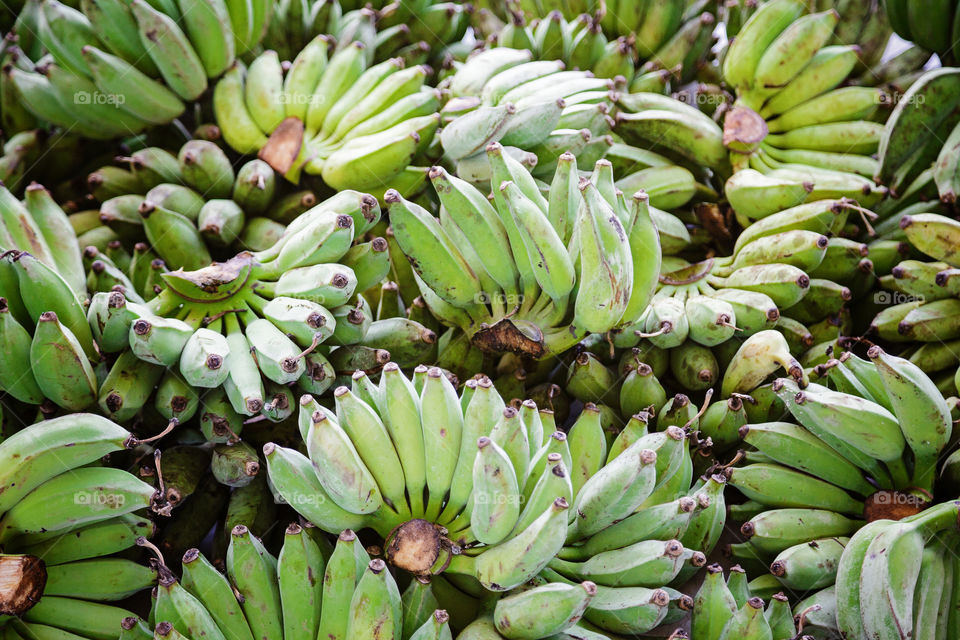 Fresh green bananas 