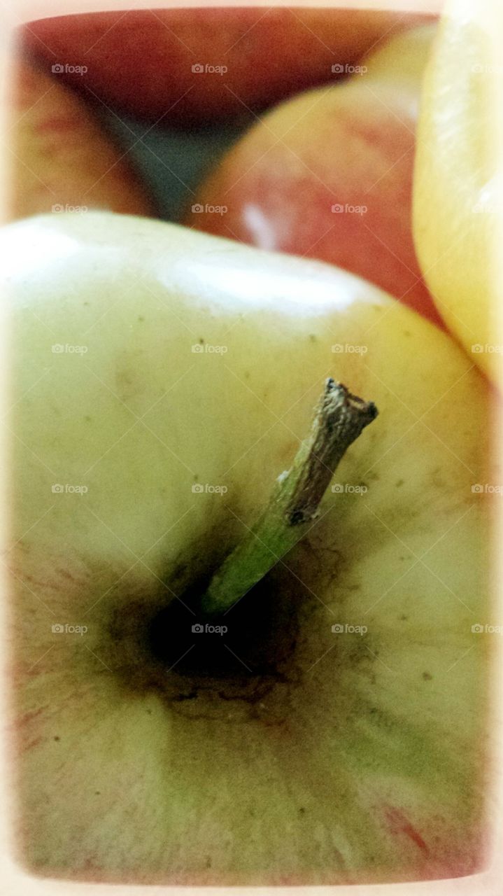 apple stem