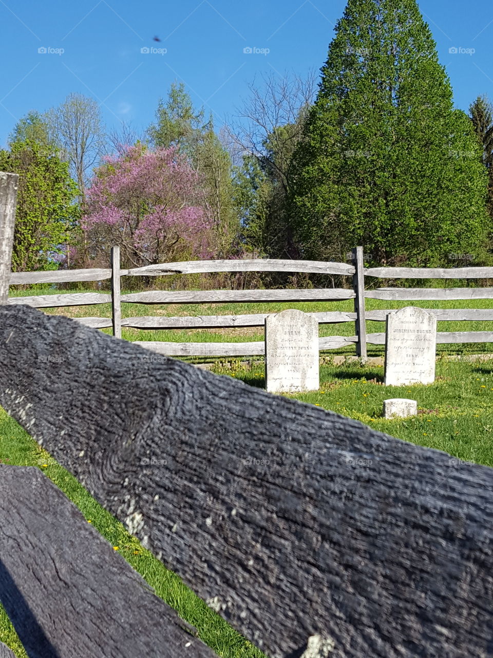 old family grave sites