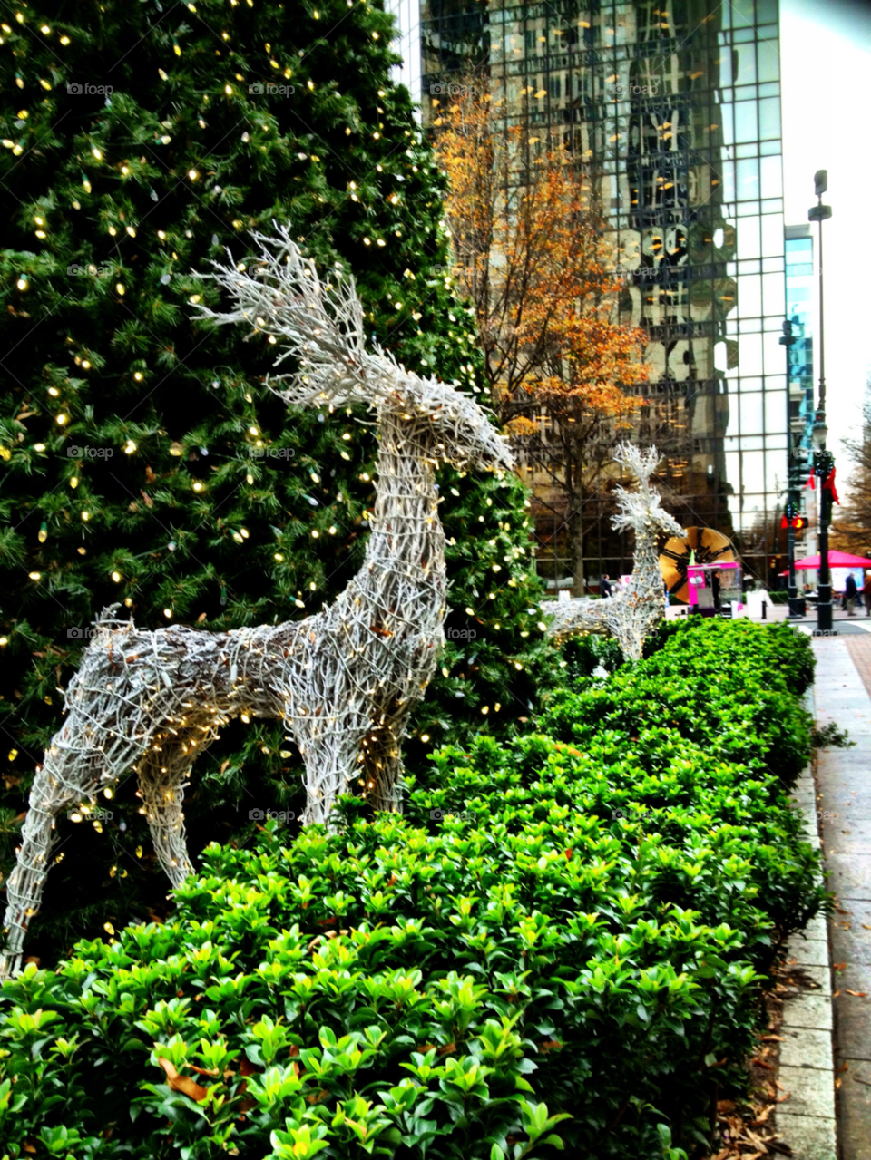 christmas holiday decorations downtown by bcpix