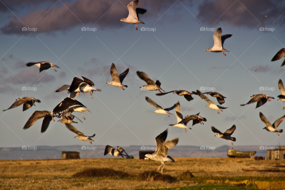 winter beach sunset colours by leonbritton123