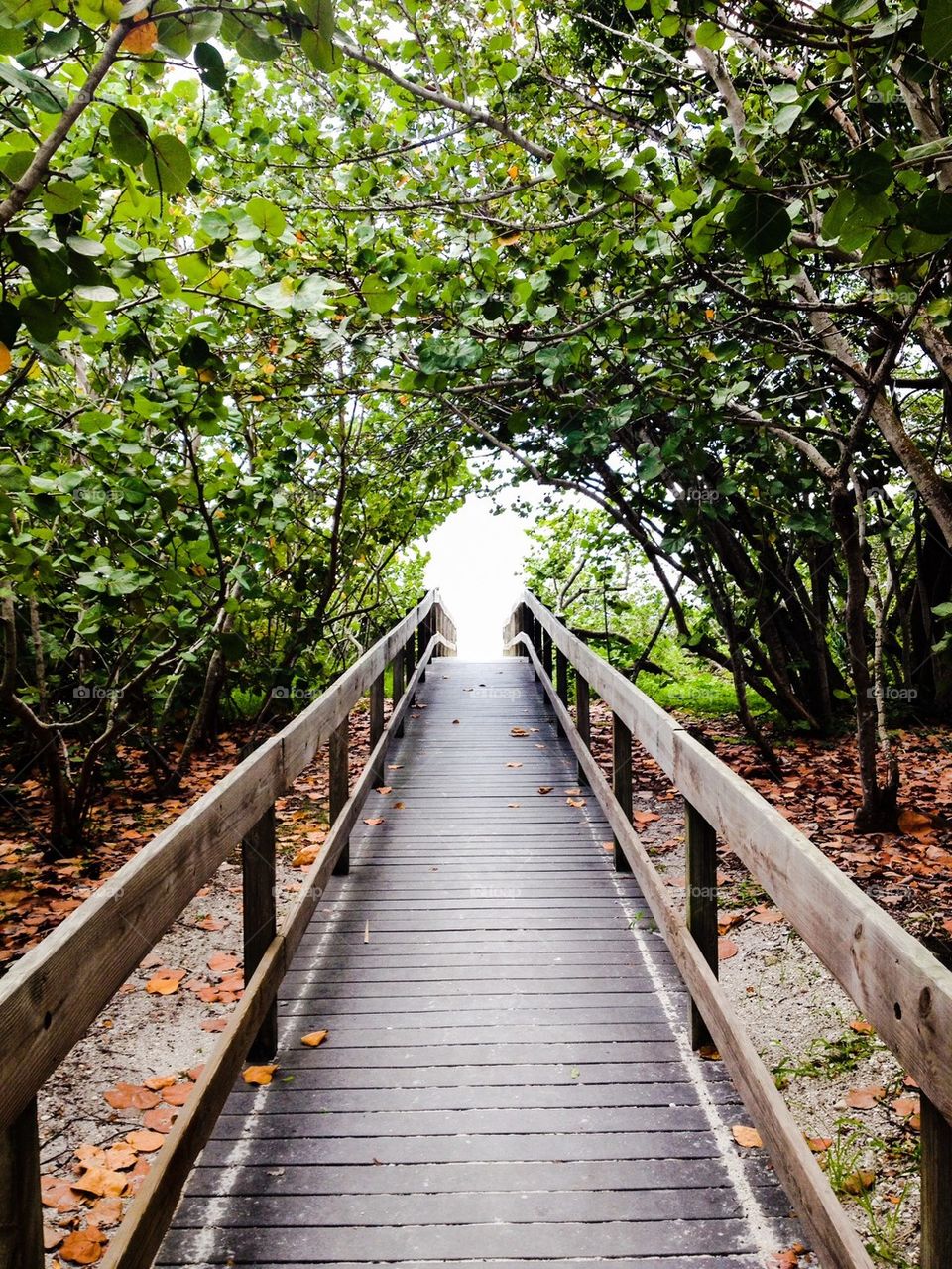 Beach Access