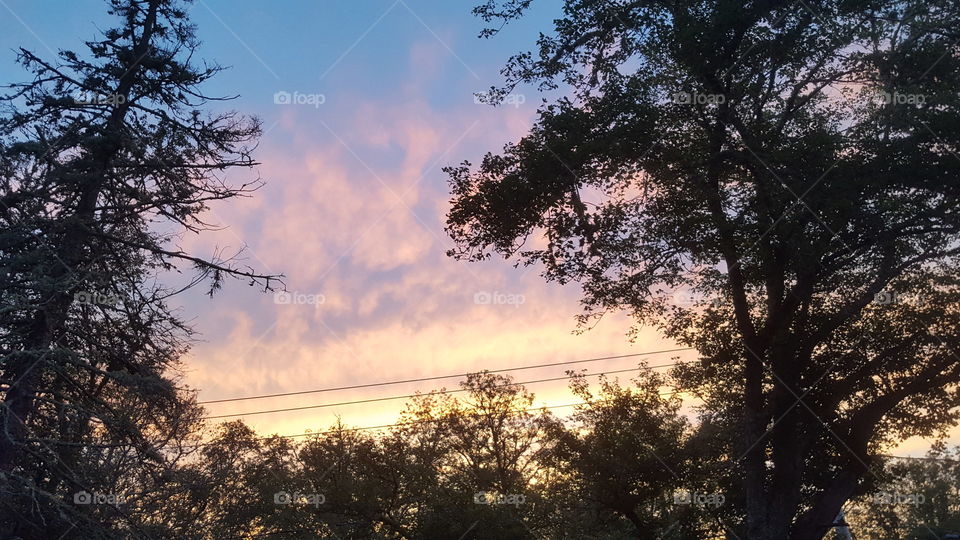 Looking out my Front Door