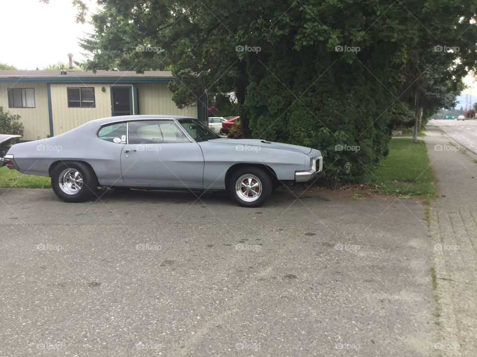 Classic Muscle Car on the Road 