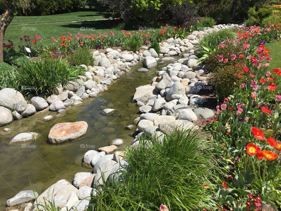 The Tulip Festival, Monet Garden at Thanksgiving Point. Lehi, Utah. Copyright © CM Photography 2019.