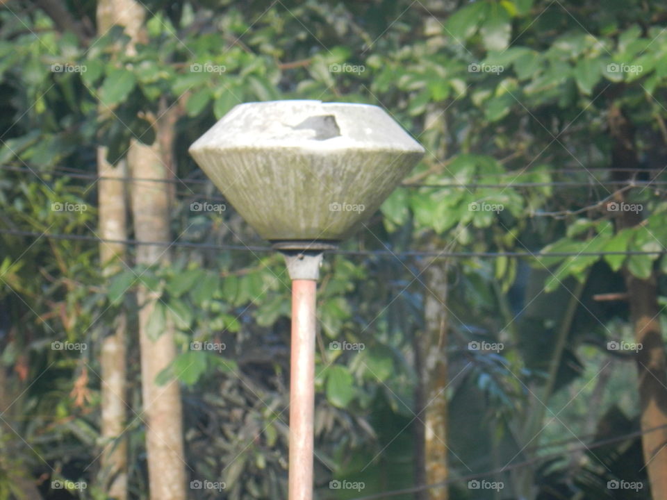 lamp post..