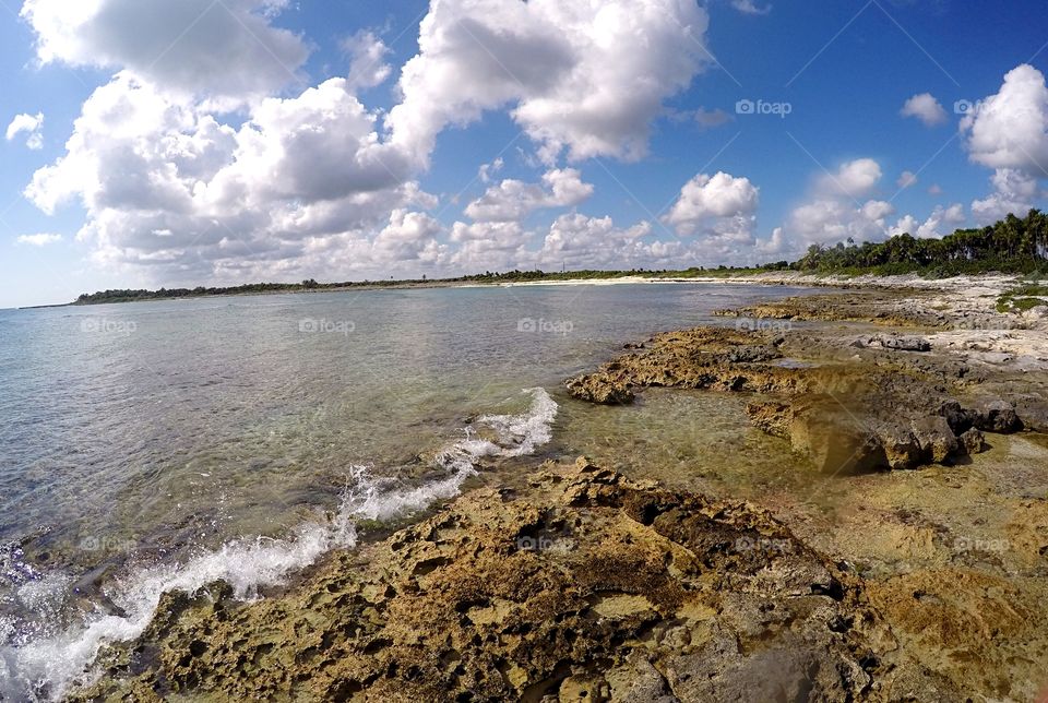 rocky beach in the ocean