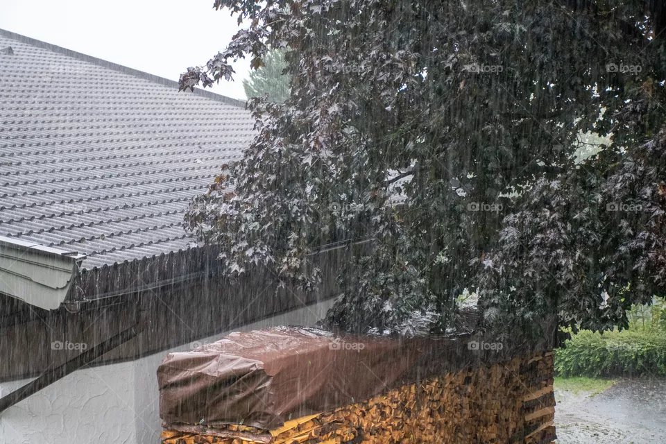 Rainy Day