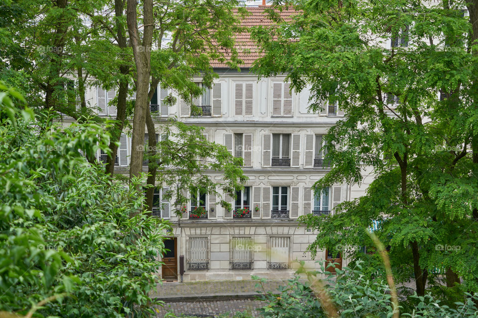 Montmartre building though the trees 