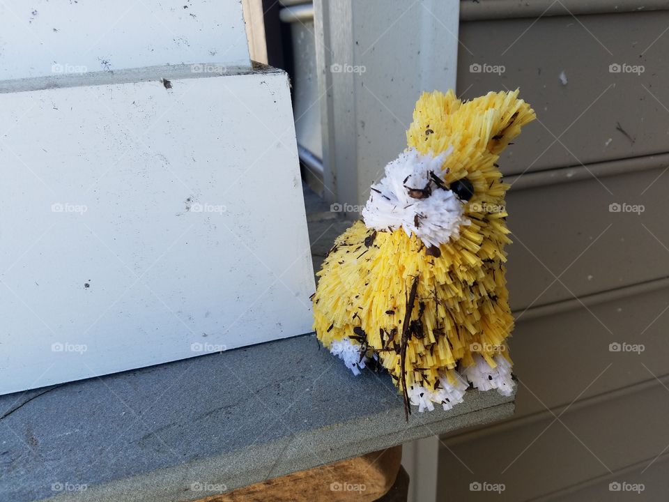 Bunny surved tornado