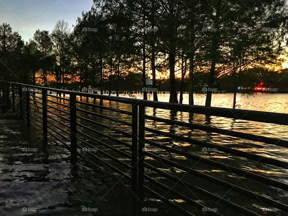 Hurricane irma flooding 