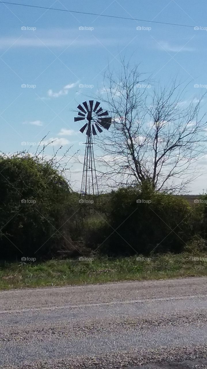 windmill
