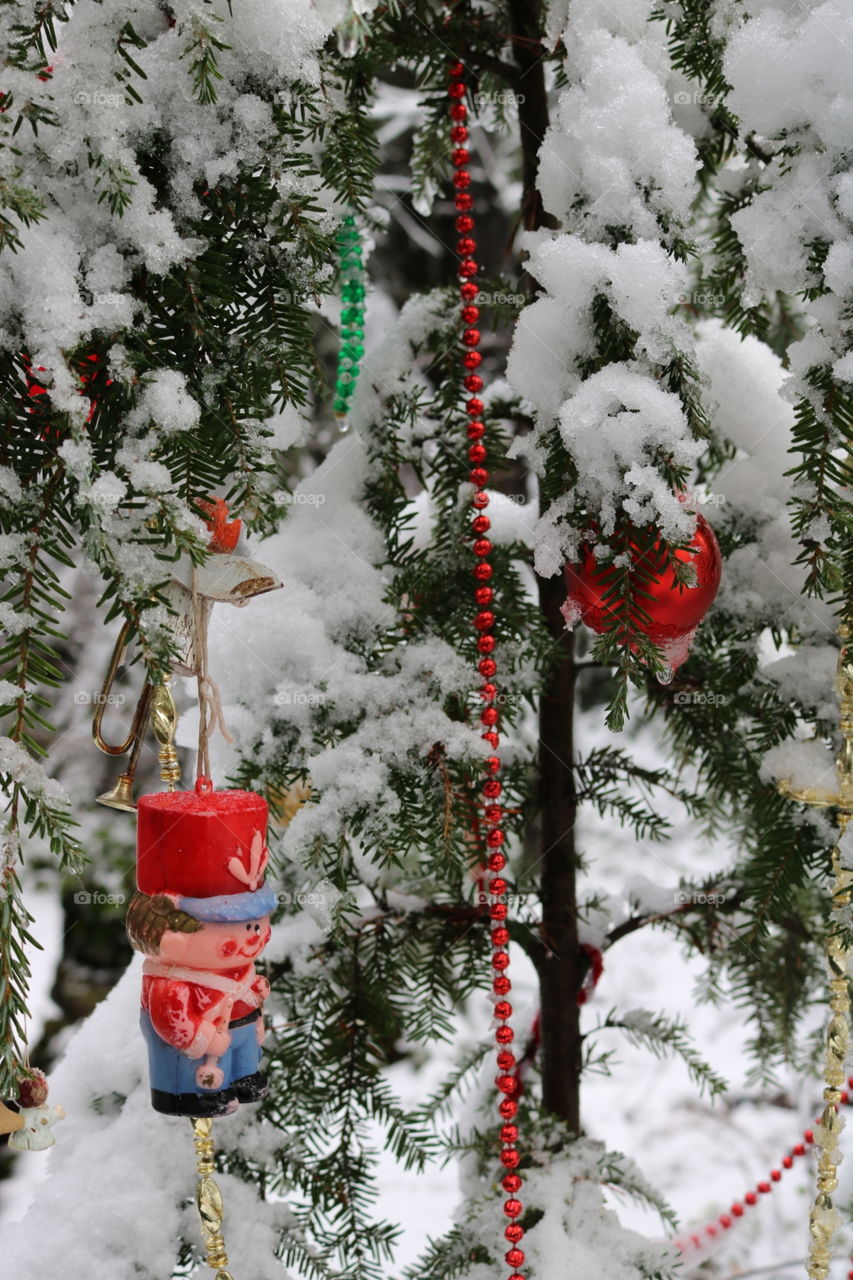 Christmas in the forest.