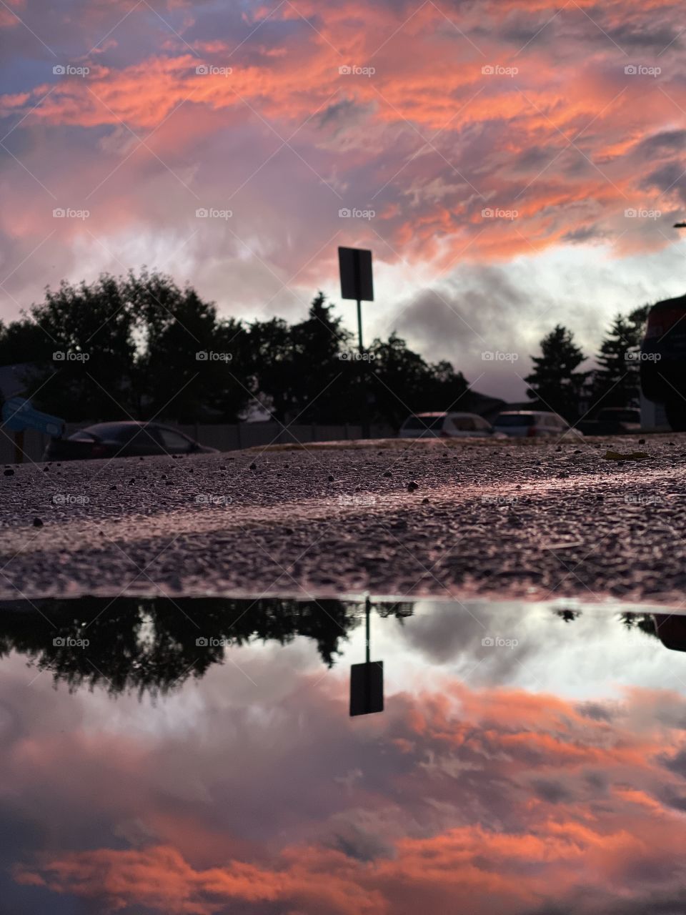 Orange is the new black 