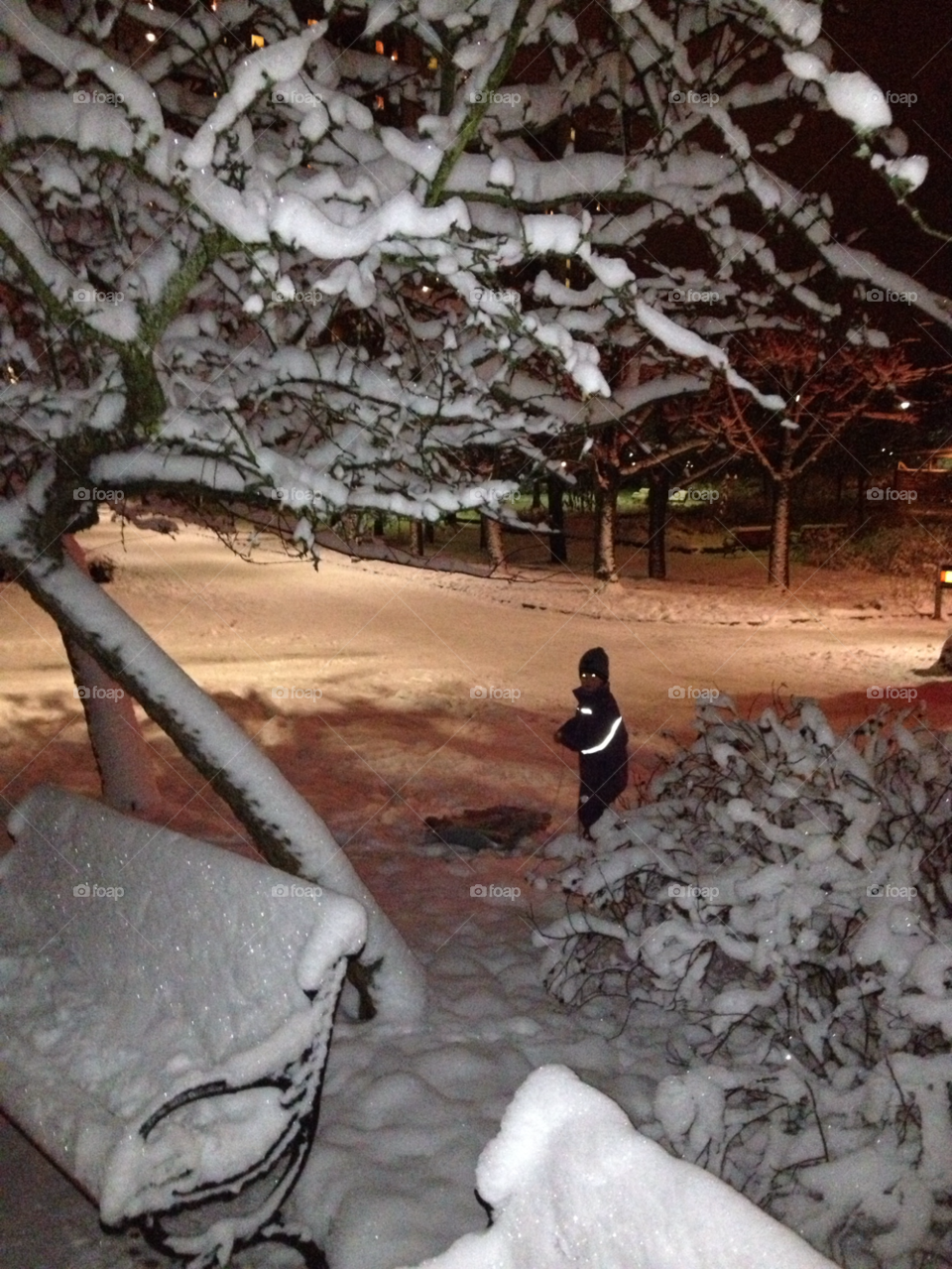 snow winter tree boy by jonekl