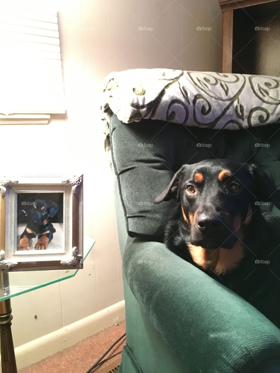 Jake next to his puppy picture :) 