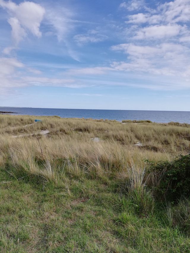 Herbe et Plage