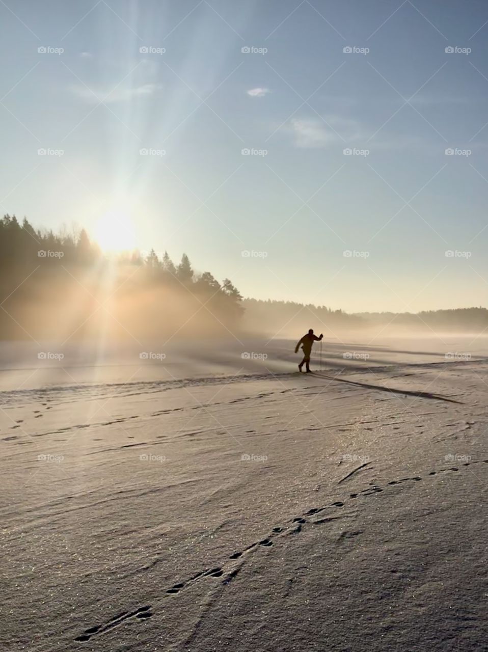 Skier on the ice