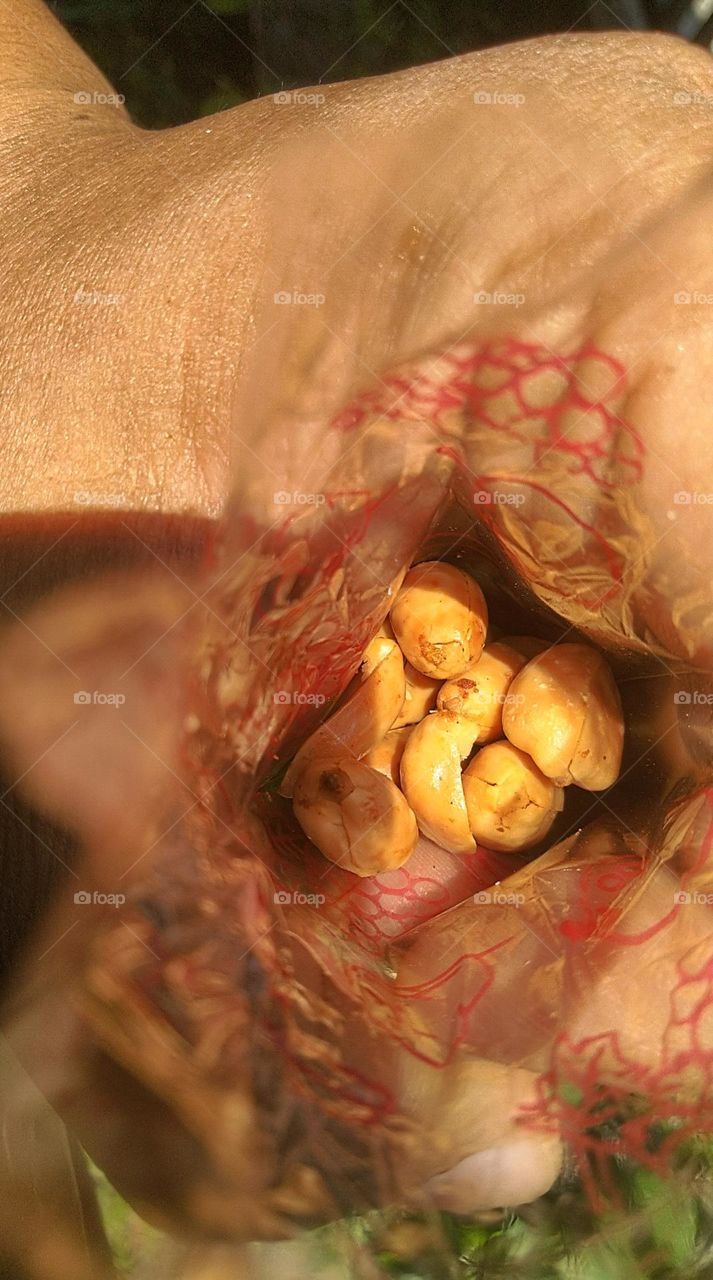 Eat fried peanuts in plastic