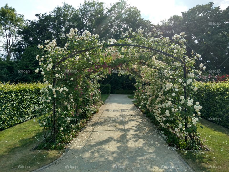 arches de fleurs