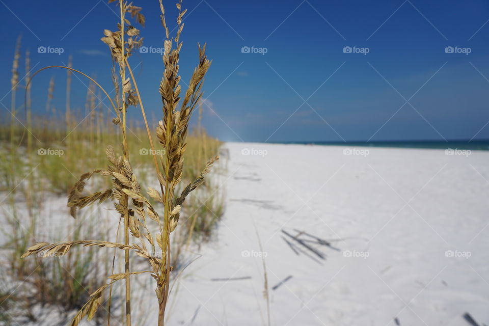 whitest beache on earth