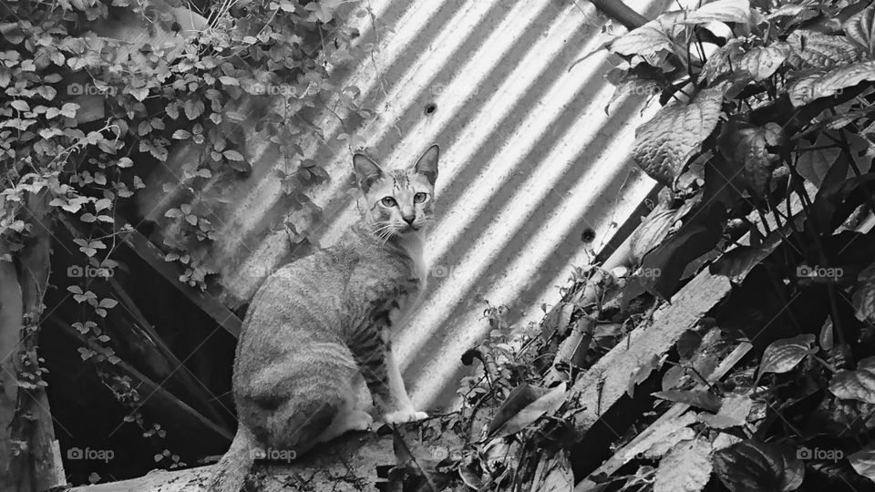 What do you think about this ?