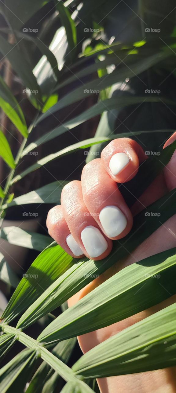 woman with white manicure near green leaves