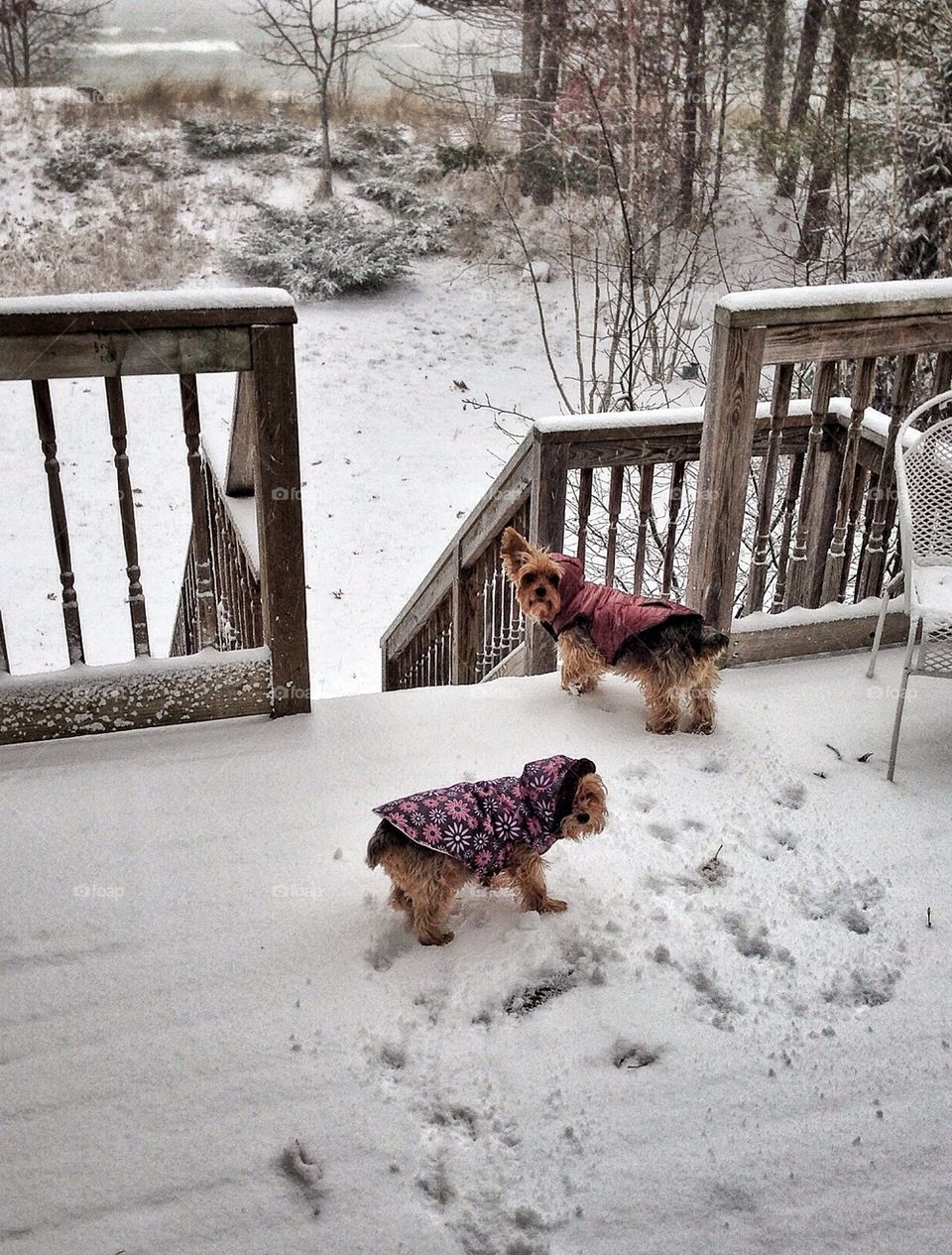 Are you sure it's safe out there?