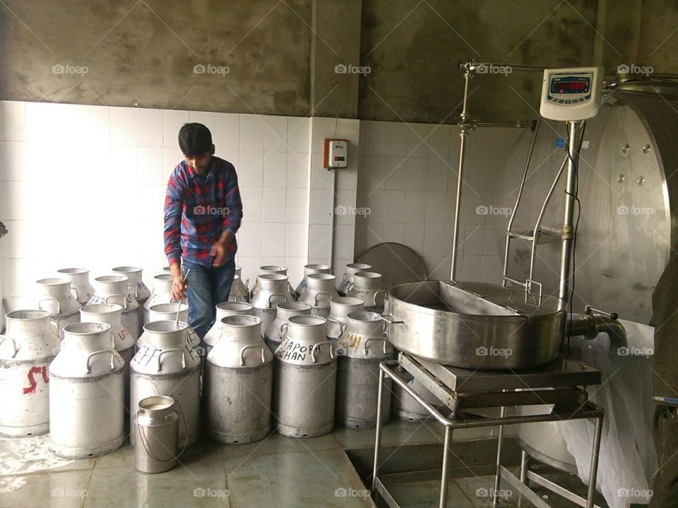 milk plant