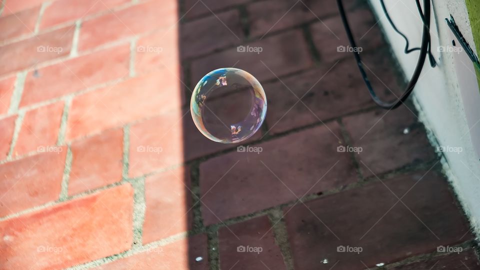 bubbles 