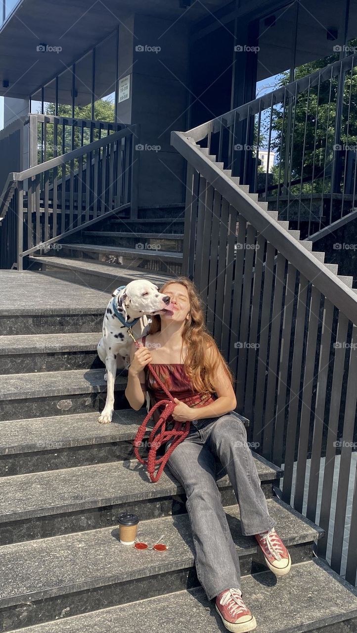 Dalmatian dog on a walk