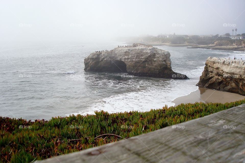 fog natural bridges
