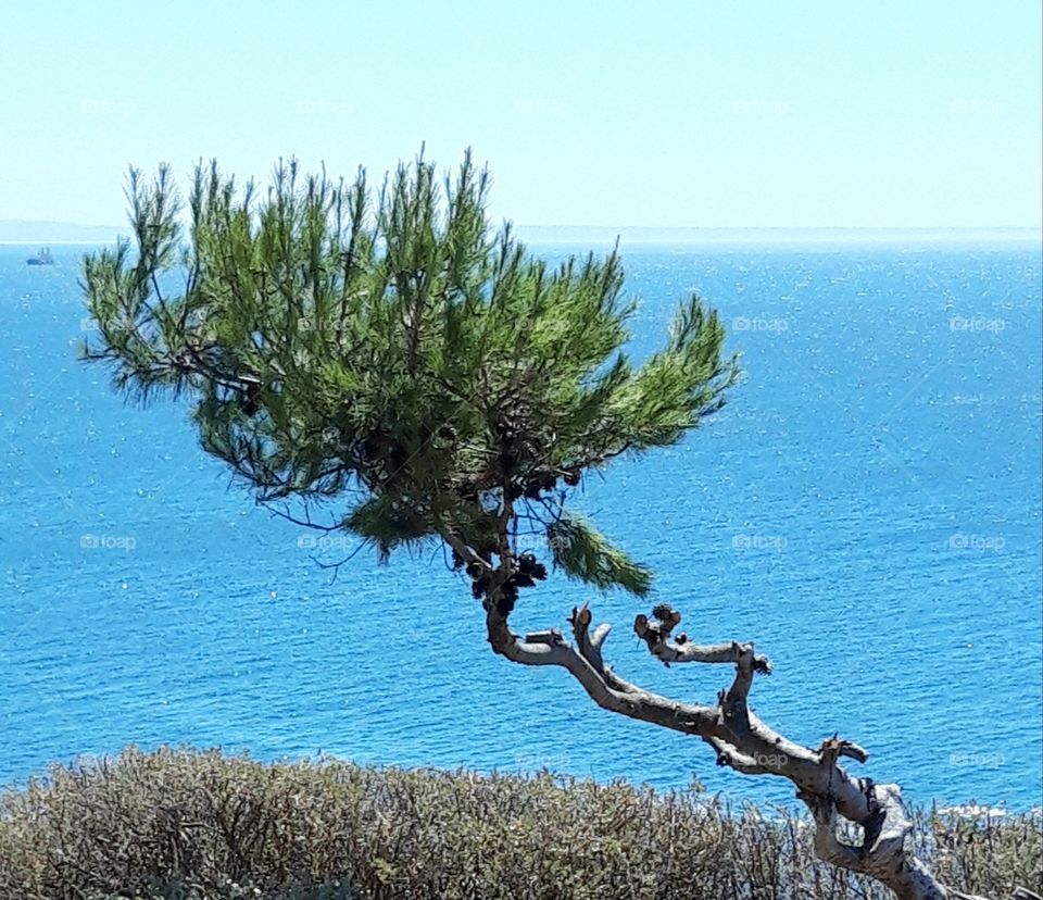 Windy seaside in Portugal