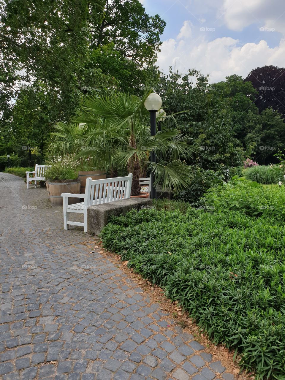 Palmengarten Frankfurt