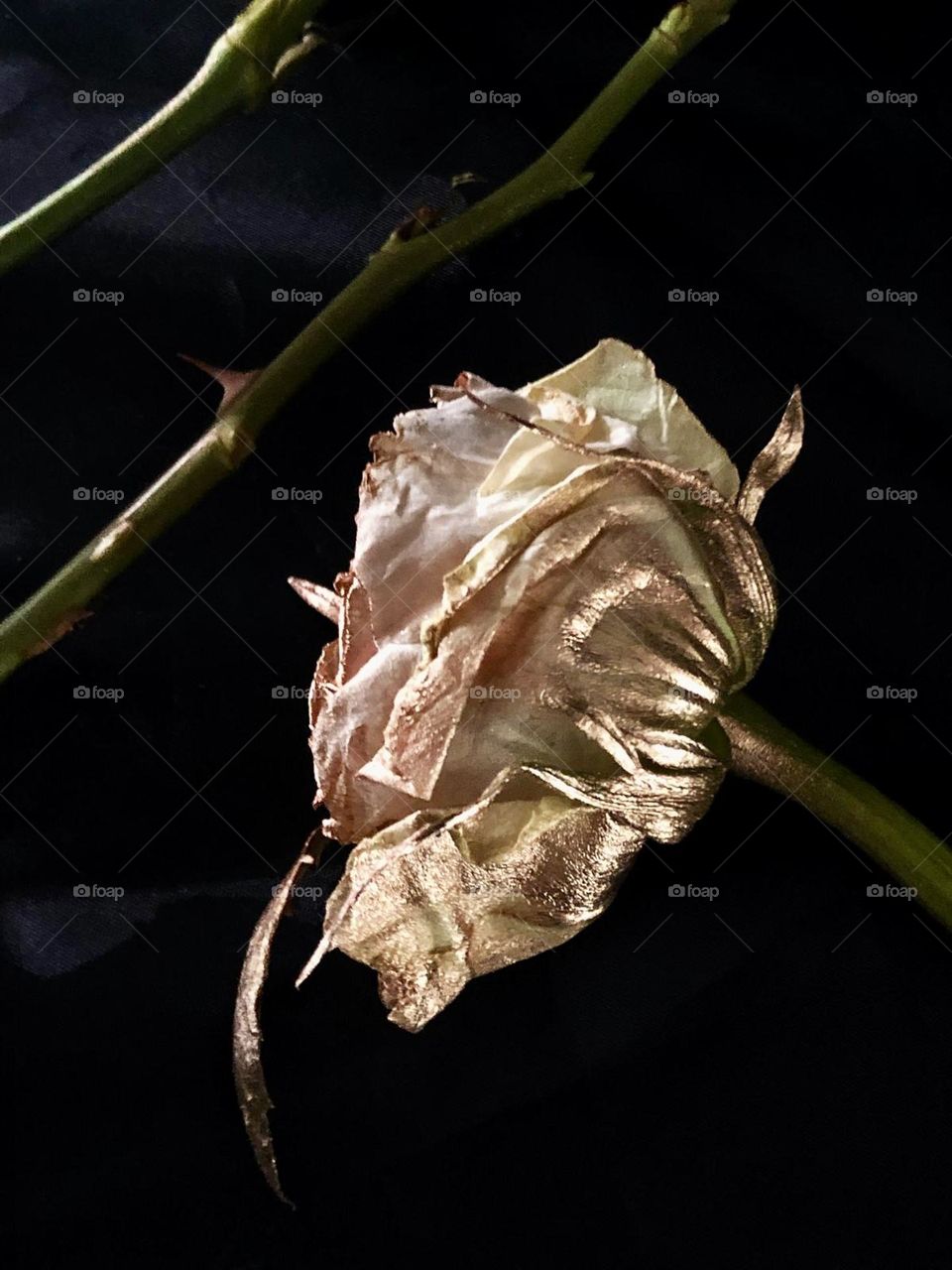 White flower spray painted gold