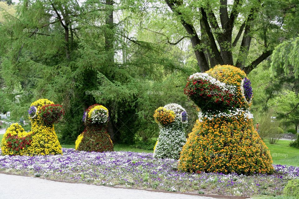 flower ducks