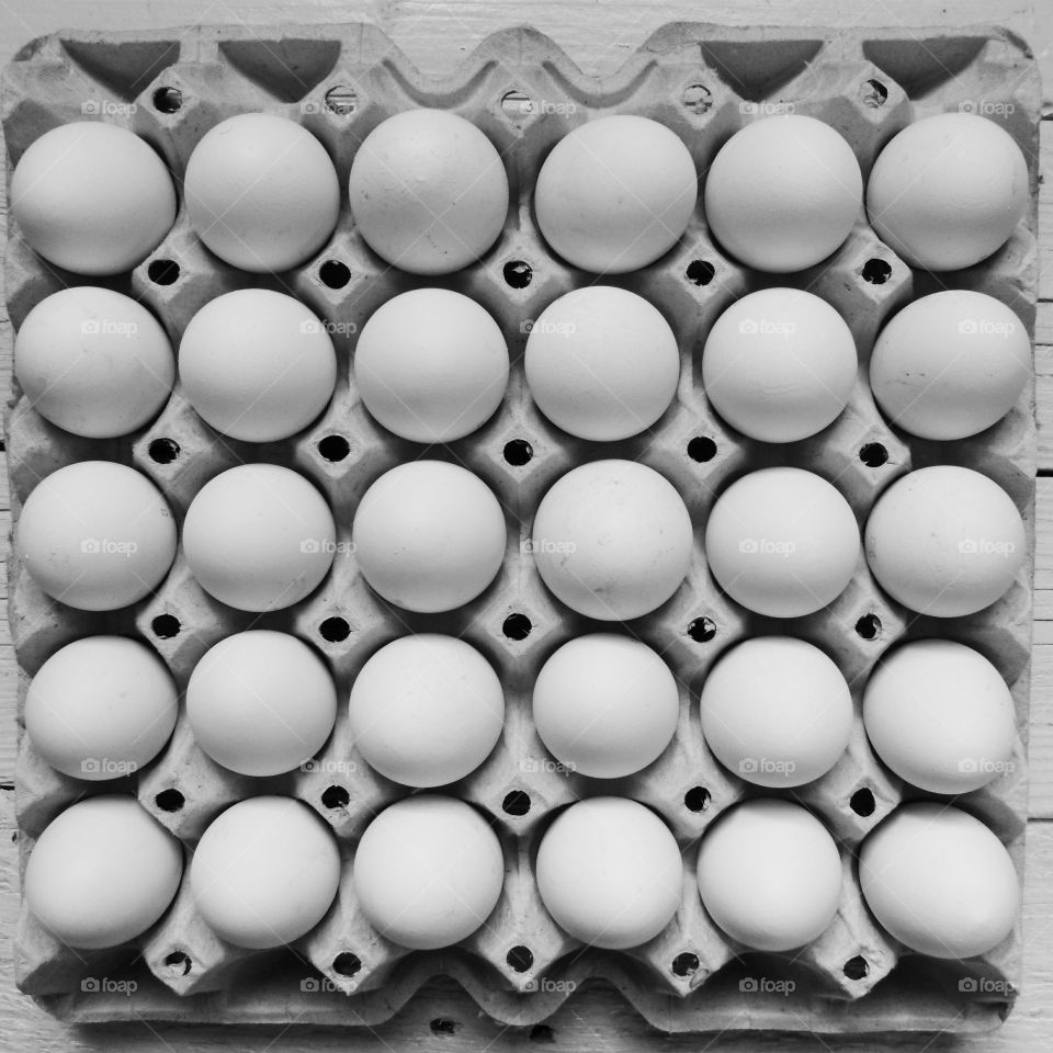 Symmetry of chicken eggs