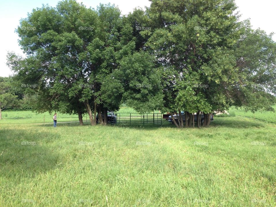 Readying the Corral