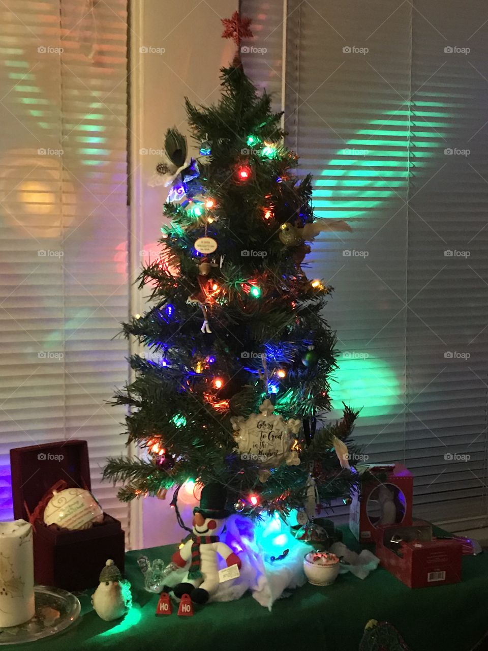 Christmas Tree & Lights 