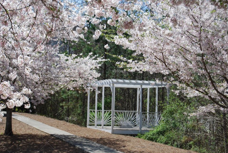 Gazebo in the park