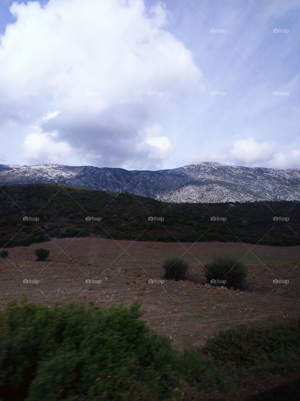 Editors' Choice - Photo of the Week